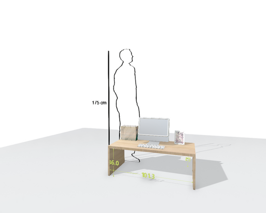 MAIN DESK