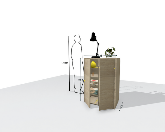 MAIN SHELF