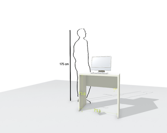 MAIN DESK
