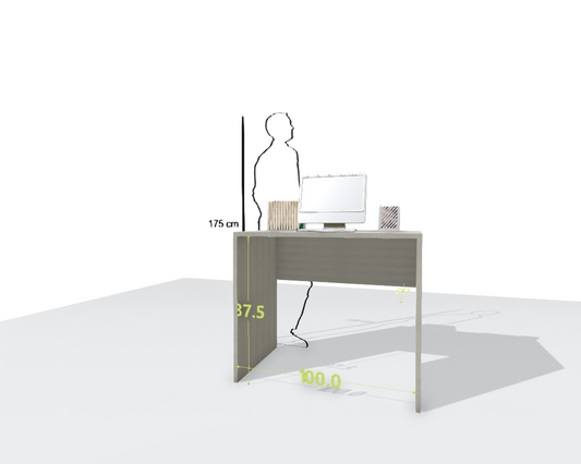 MAIN DESK