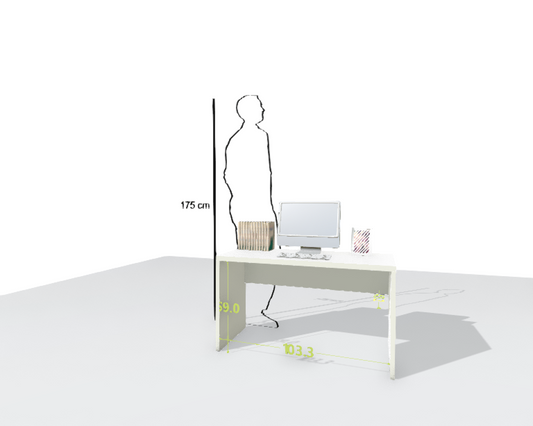 MAIN DESK