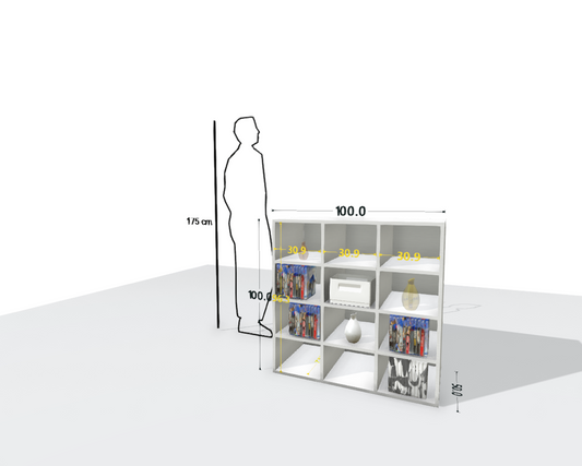MAIN SHELF
