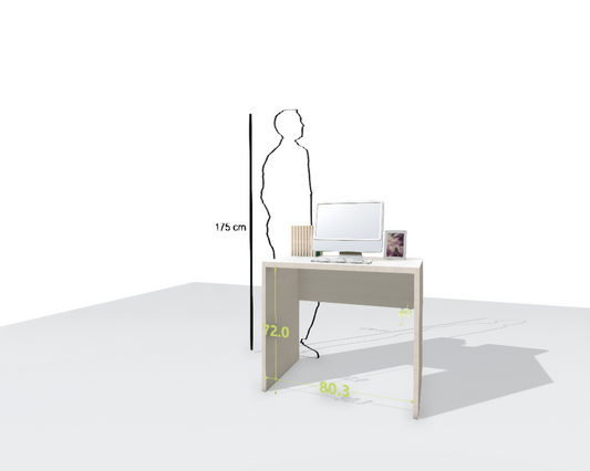 MAIN DESK