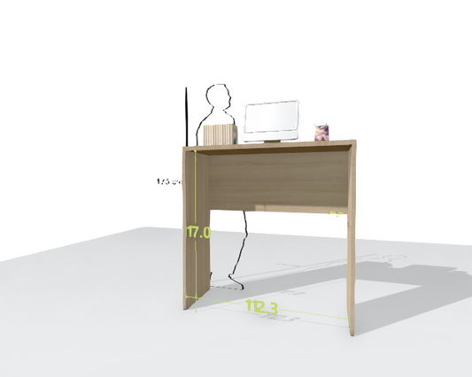 MAIN DESK