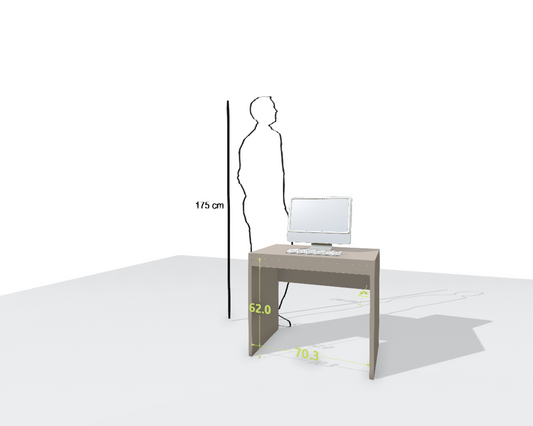 MAIN DESK