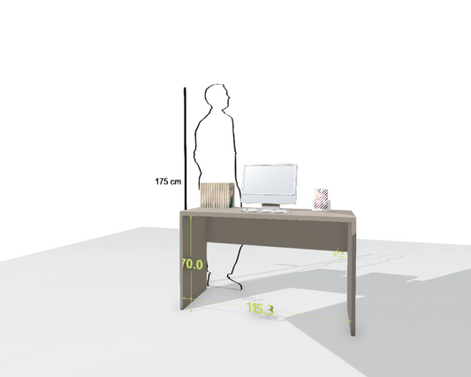 MAIN DESK