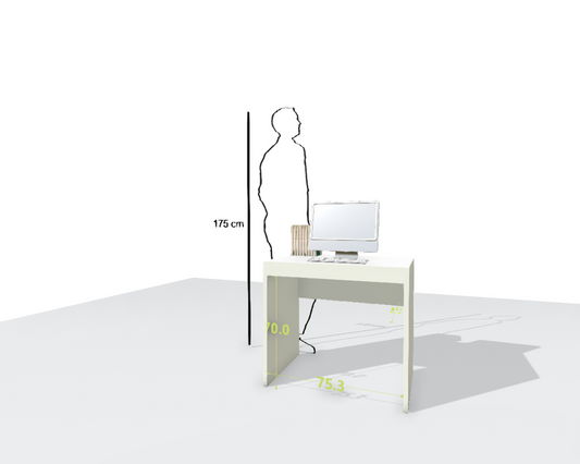 MAIN DESK