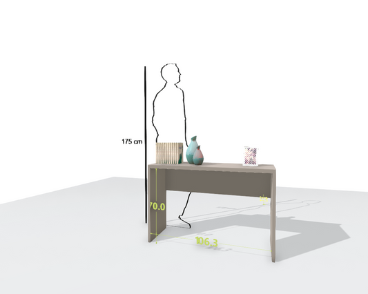 MAIN DESK
