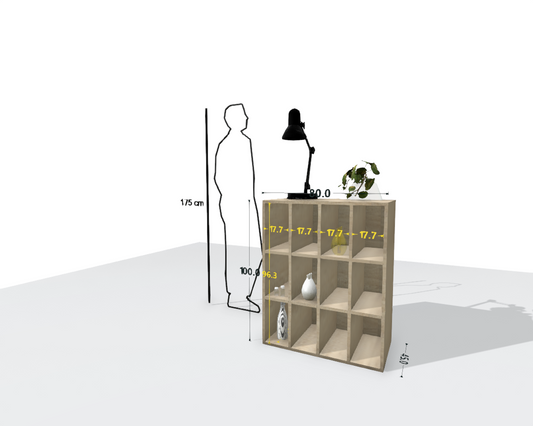 MAIN SHELF