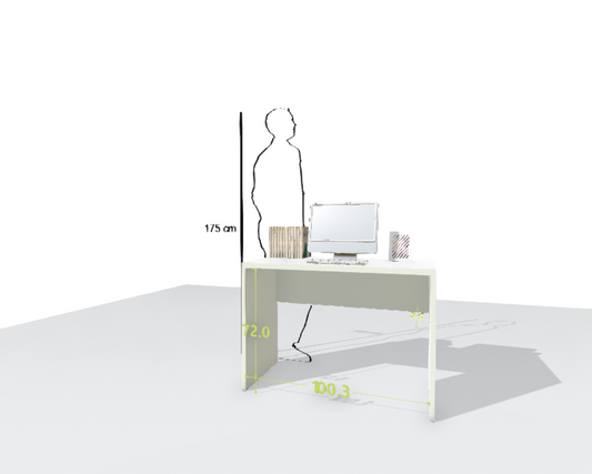 MAIN DESK