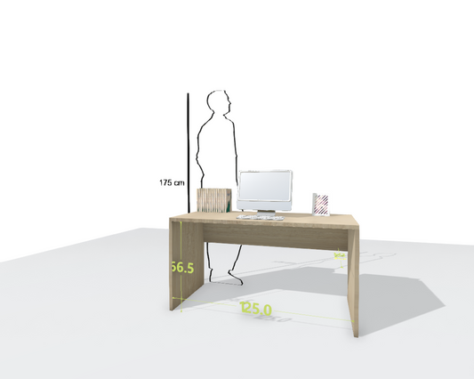 MAIN DESK