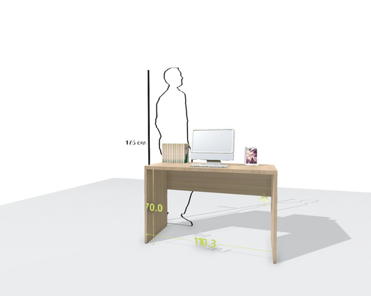 MAIN DESK