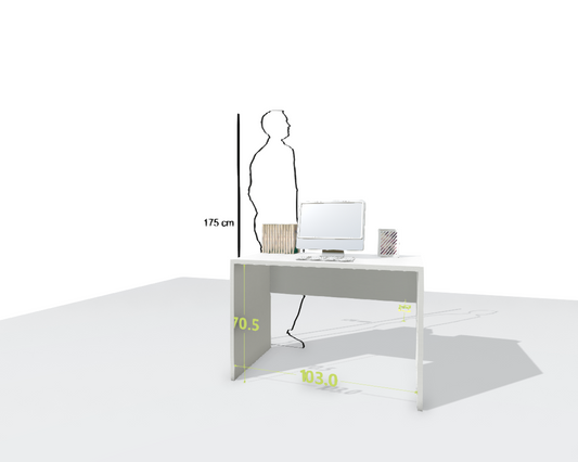 MAIN DESK