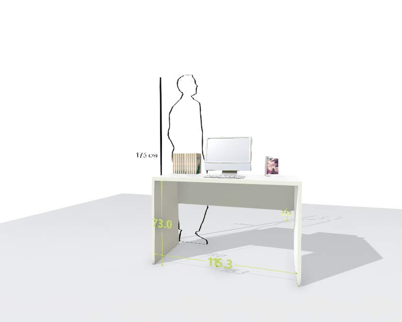 MAIN DESK