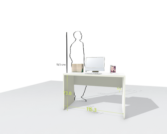 MAIN DESK
