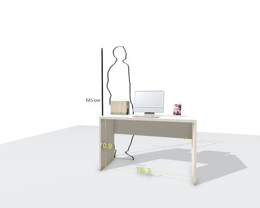 MAIN DESK
