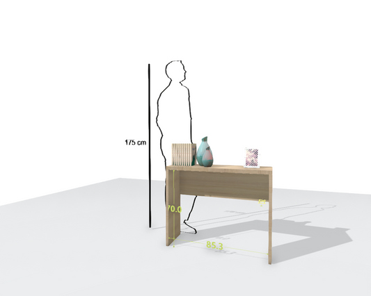 MAIN DESK