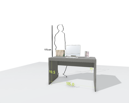 MAIN DESK