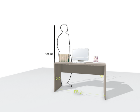 MAIN DESK